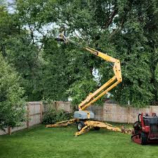 Seasonal Cleanup (Spring/Fall) in Syracuse, NE