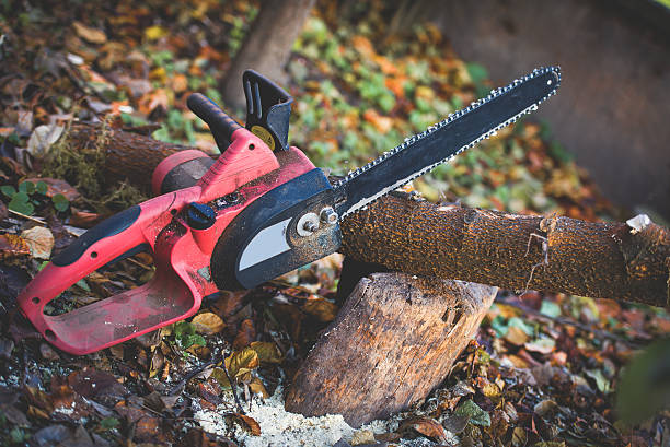 Best Soil Testing and Treatment  in Syracuse, NE